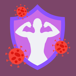 <p><strong>Immune Wellness</strong></p>